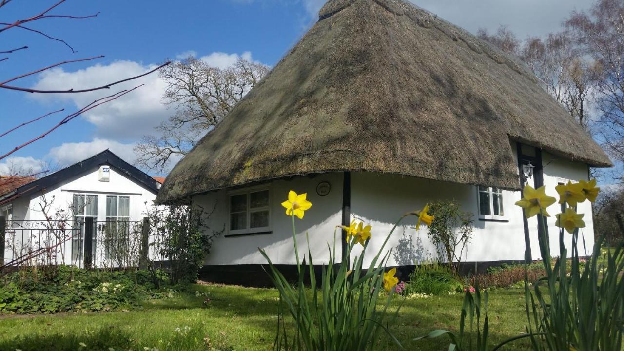 Frogs Hall B&B Eye  Exterior foto